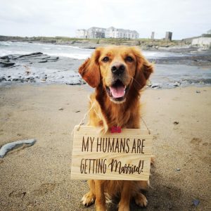 My humans are getting married Sign